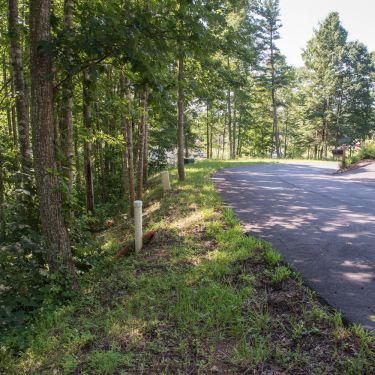 Lot V84 - Land Shot 2 Lot V84 - Land Shot 2